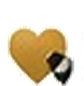 Compassionate Care